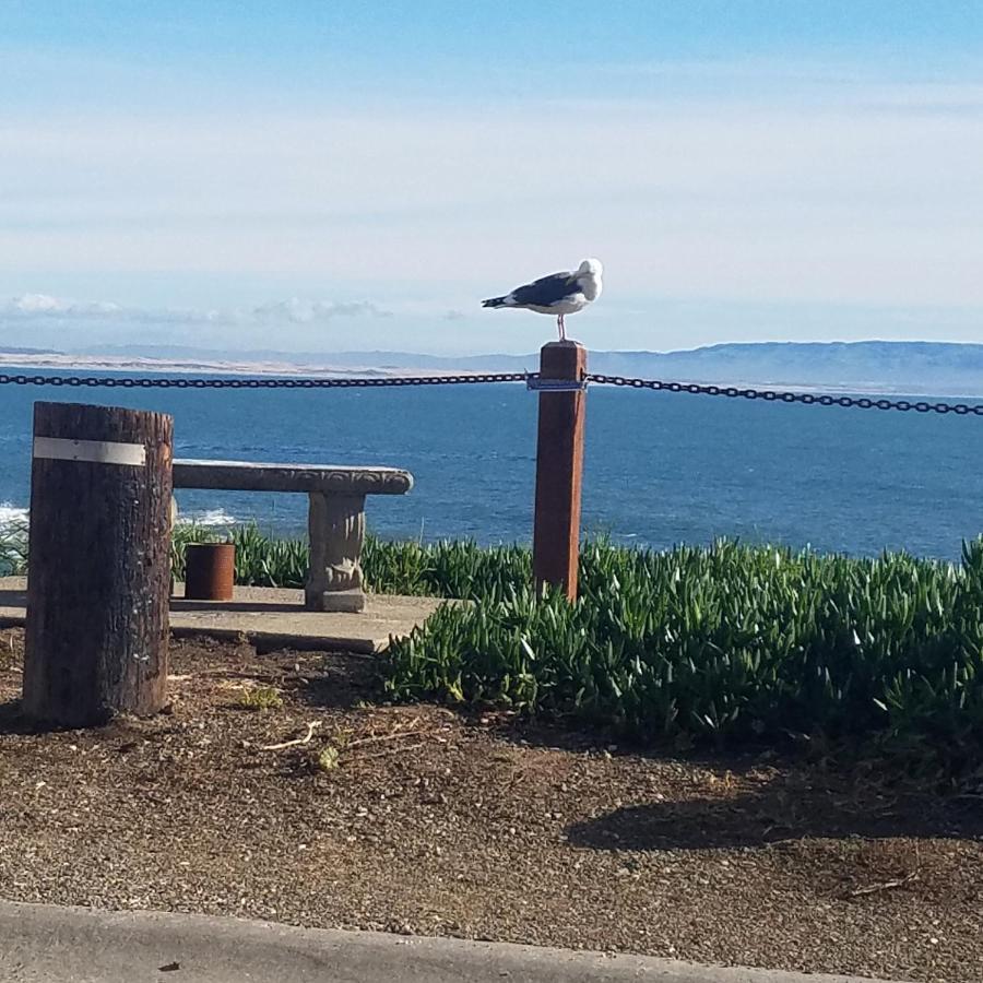 Shell Beach Inn Pismo Beach Eksteriør bilde
